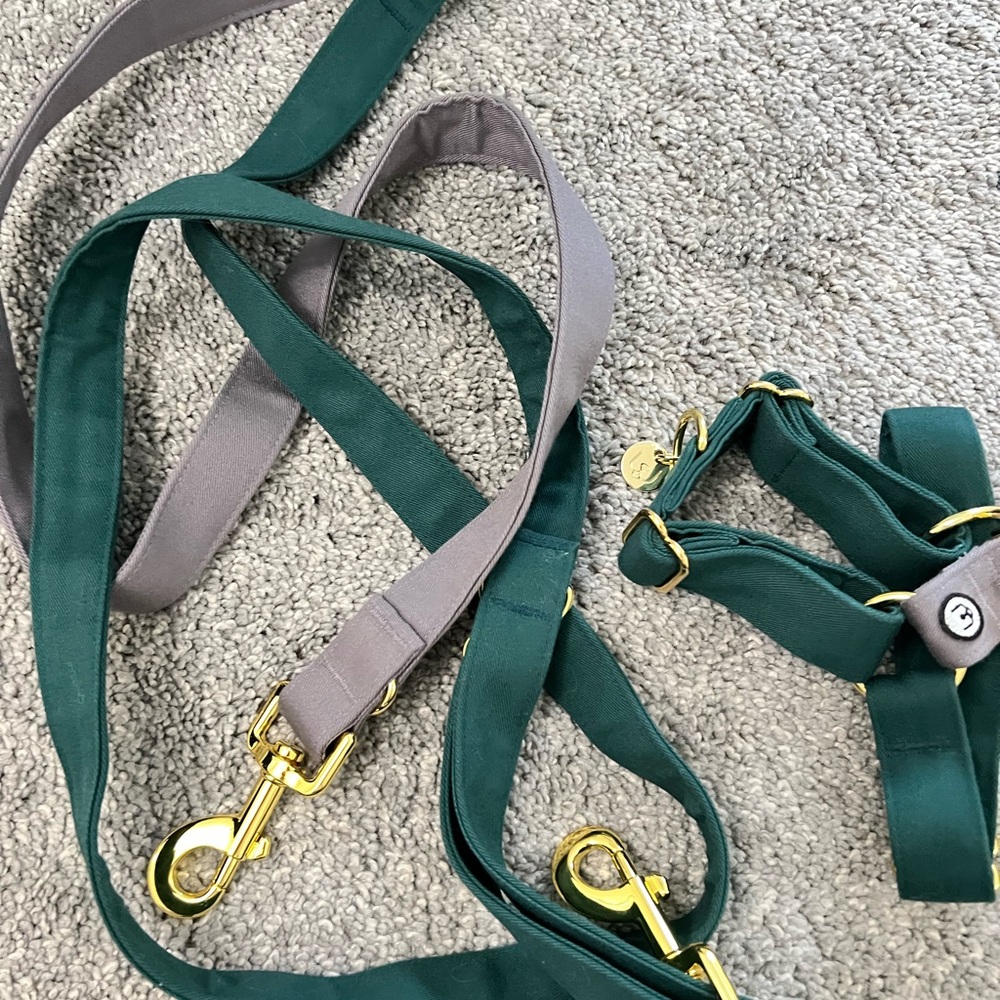 Eat Play Wag No-Pull Harness & 1” Convertible Leash Set - Spruce Medium - Picture 9 of 9